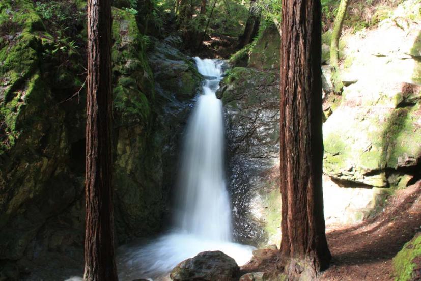 10 Lovely Waterfall Hikes Close to San Francisco