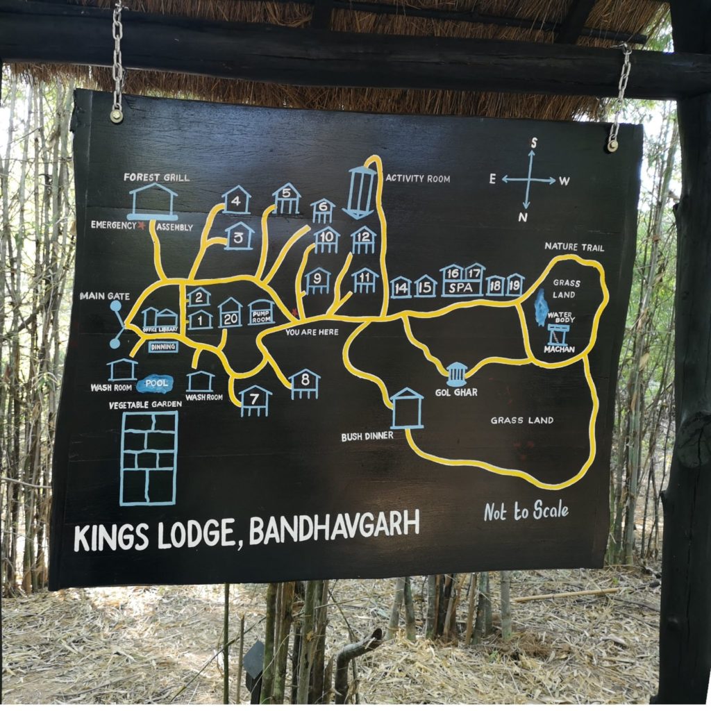 Best things to do at Kings Lodge Bandhavgarh