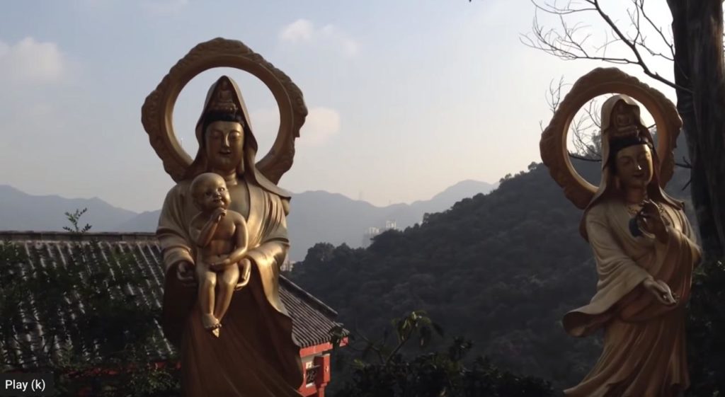 Monkeys on the Ten Thousand Buddhas