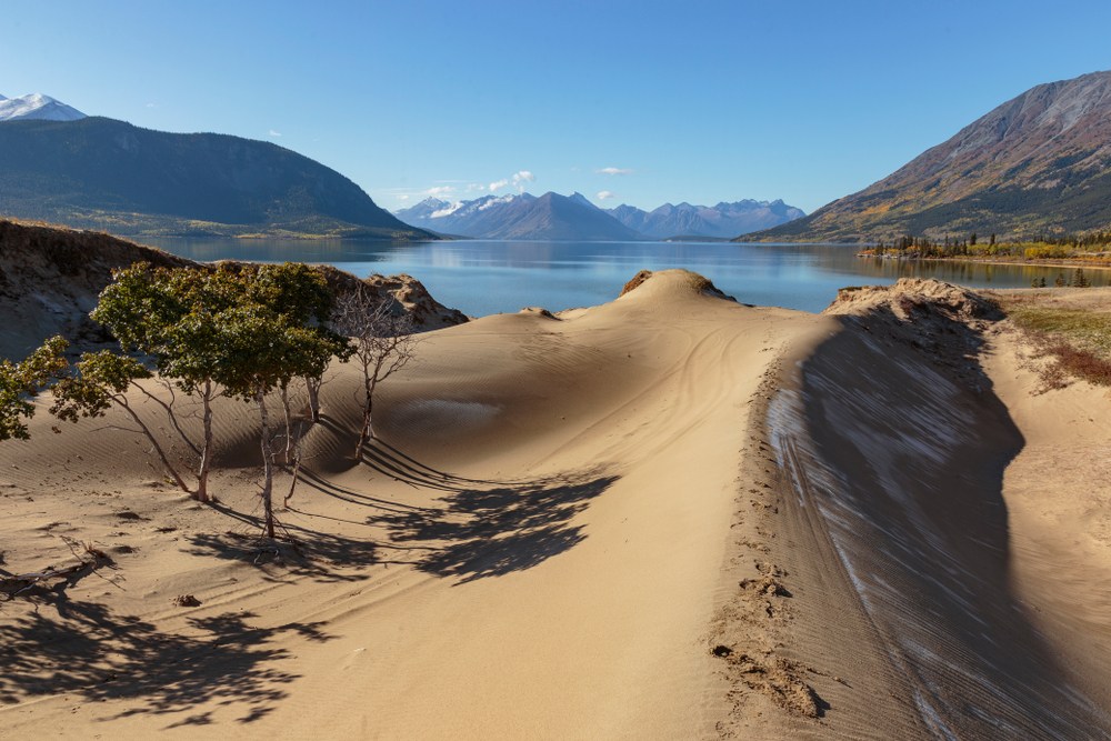 The Smallest Desert within the World, Carcross in Canada