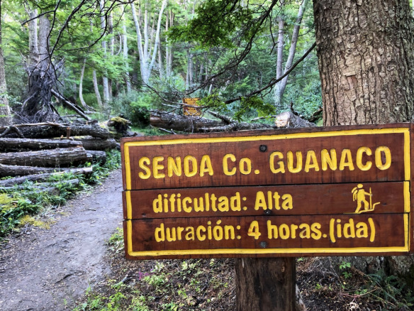 Hiking journey in Fuego National Park
