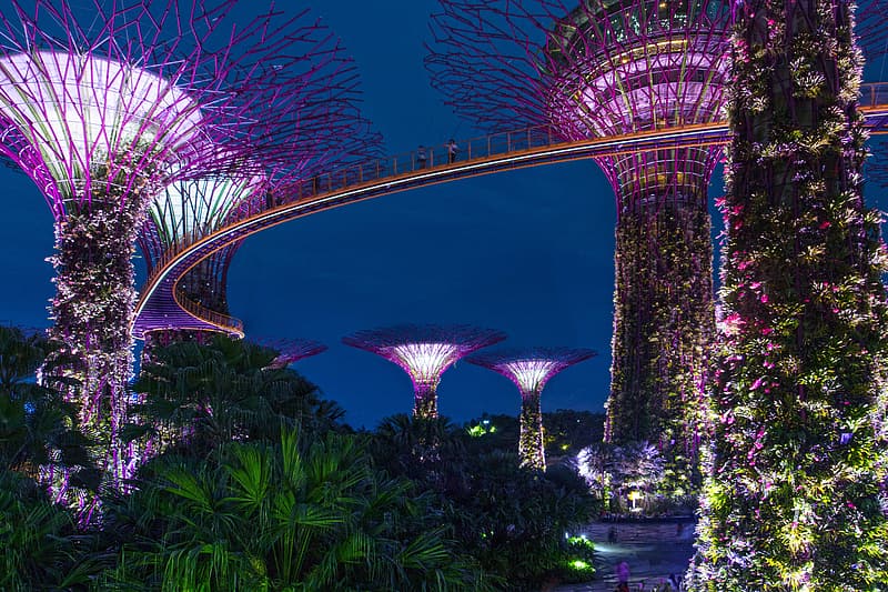 gardens-by-the-bay-singapore