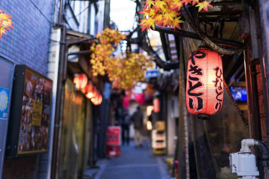 Golden Gai – Izakaya Alleys