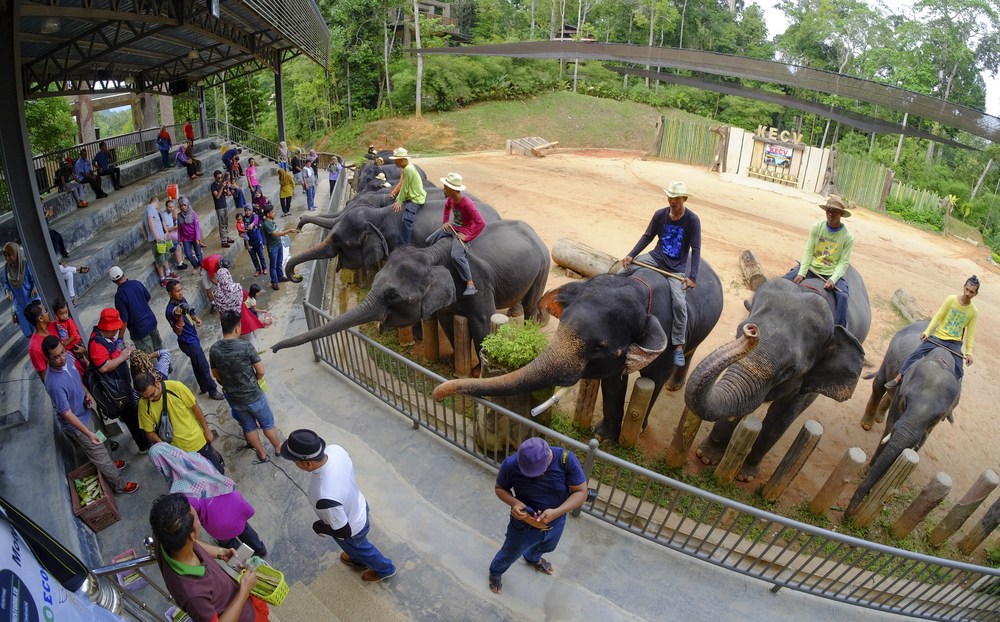 Zoo Negara malaysia
