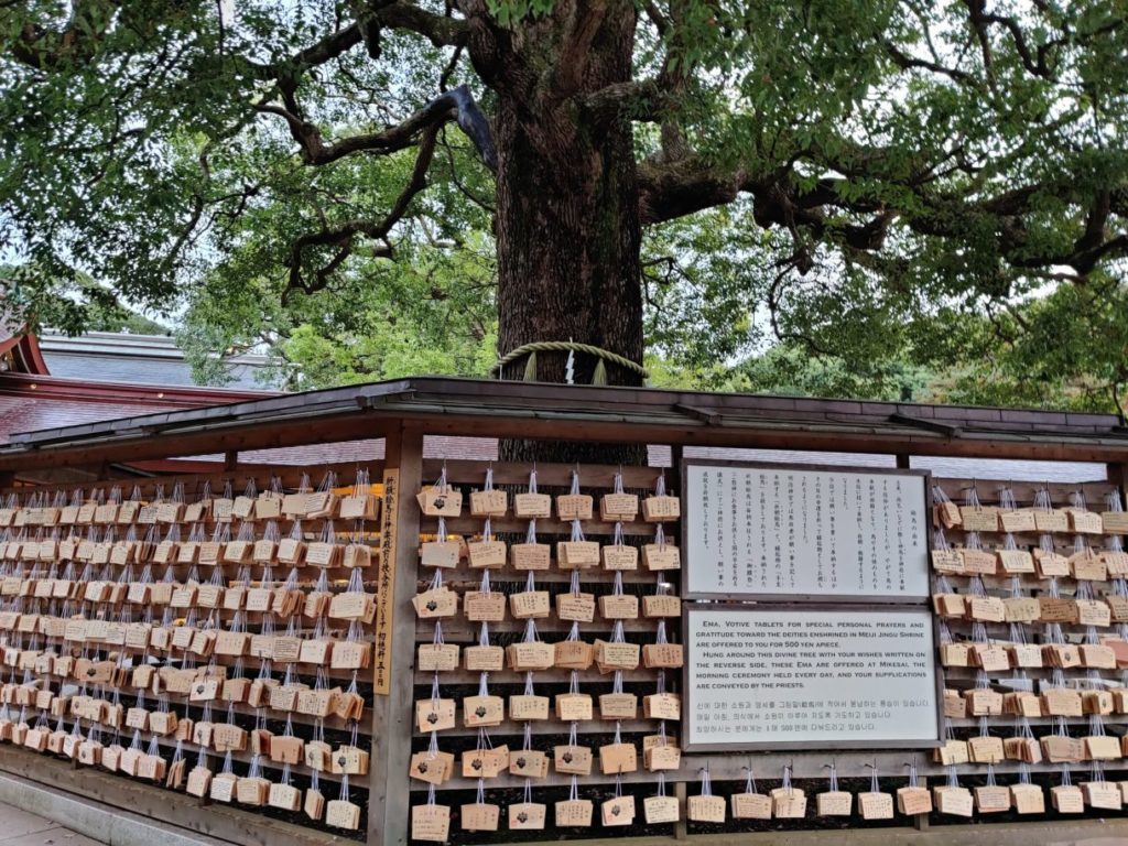 Meiji Shrine in Tokyo Japan