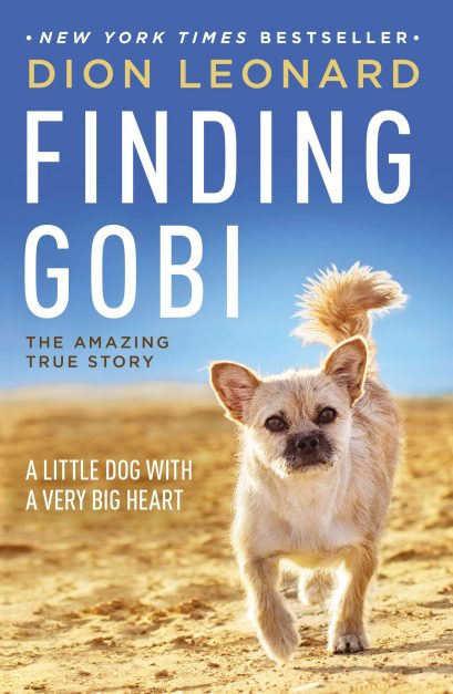 finding gobi book about adventure travel