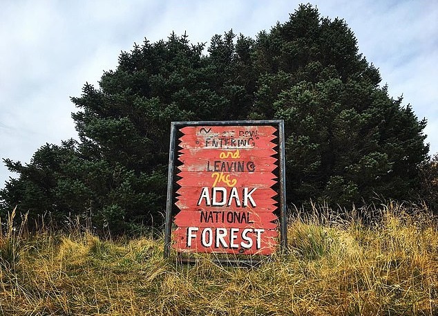 Adak national forest