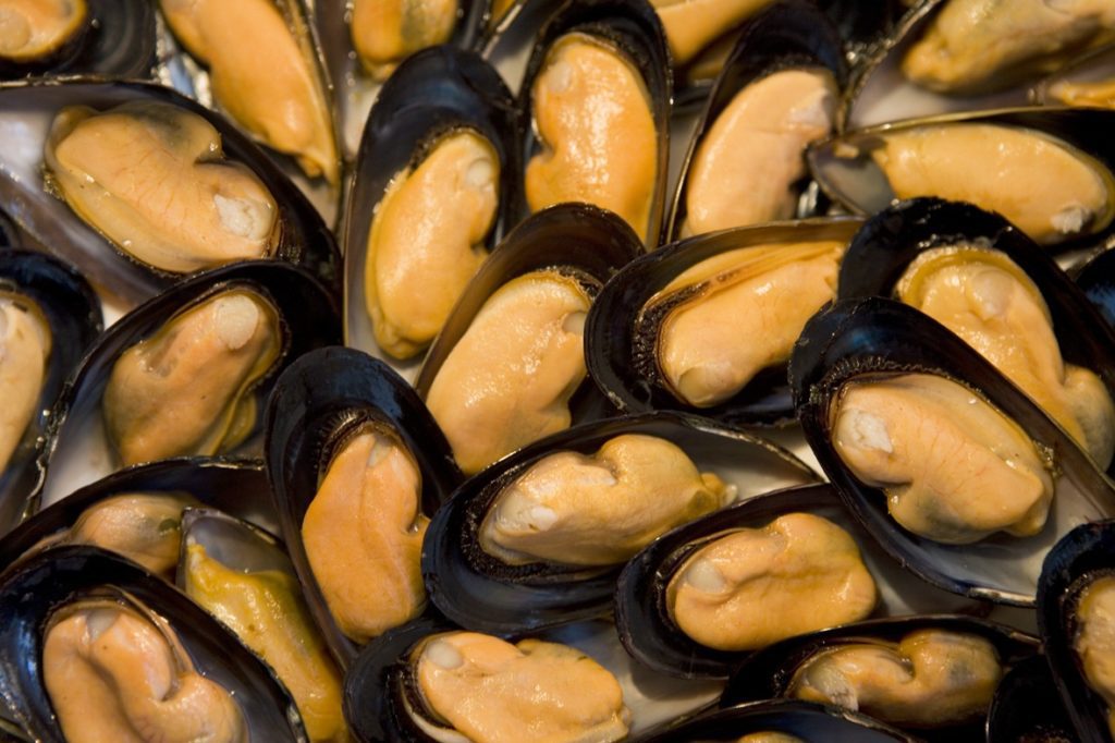 Ly Son mussel