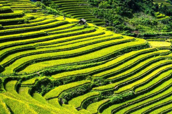 Top prettiest places in China you must visit in 2020 - Travel your way