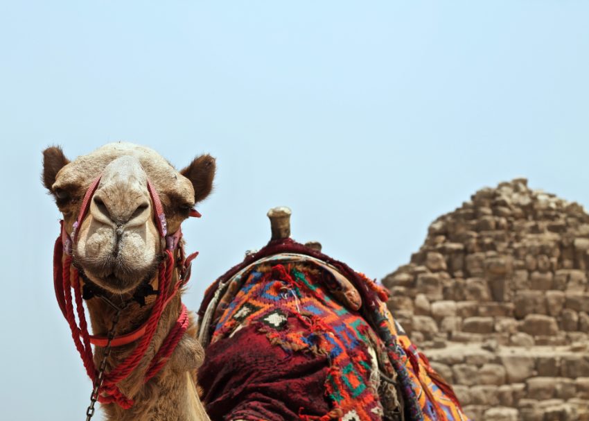 8 things tourists should know about Egypt