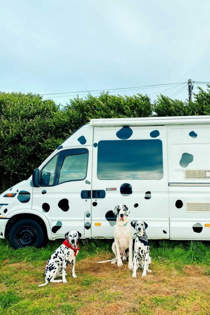 10-top-tips-and-things-to-travelling-in-a-van-with-your-dog
