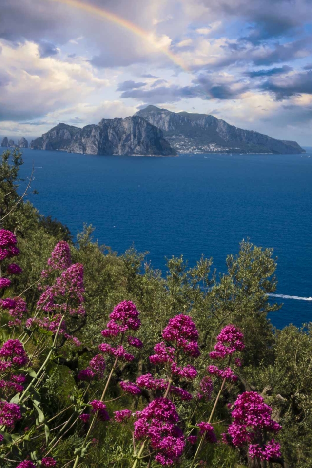 Visit the island of Capri from the Amalfi Coast Italy