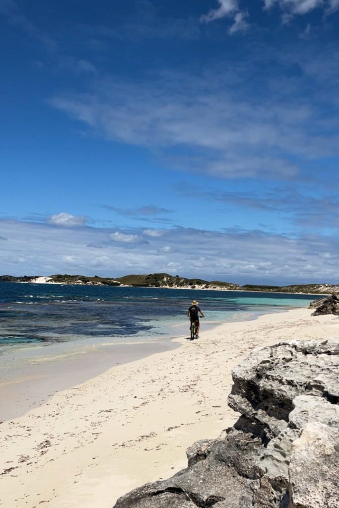 best things to do in Rottnest Island