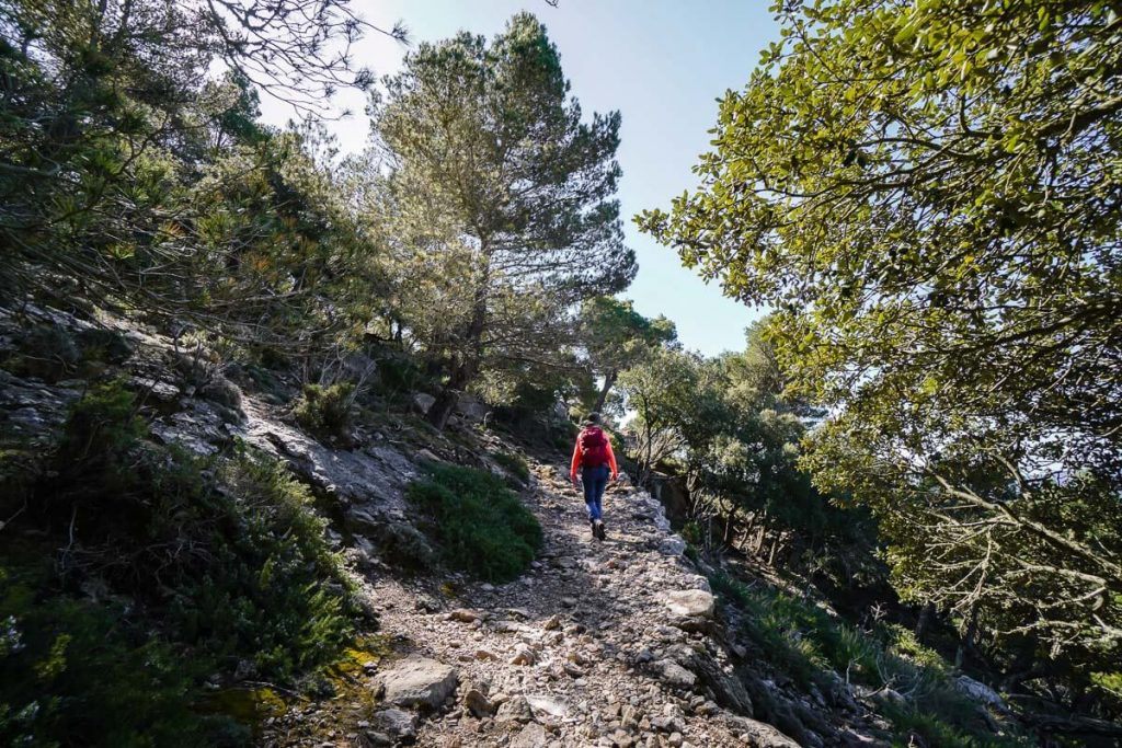 Muntanya del Voltor Hike, Mallorca