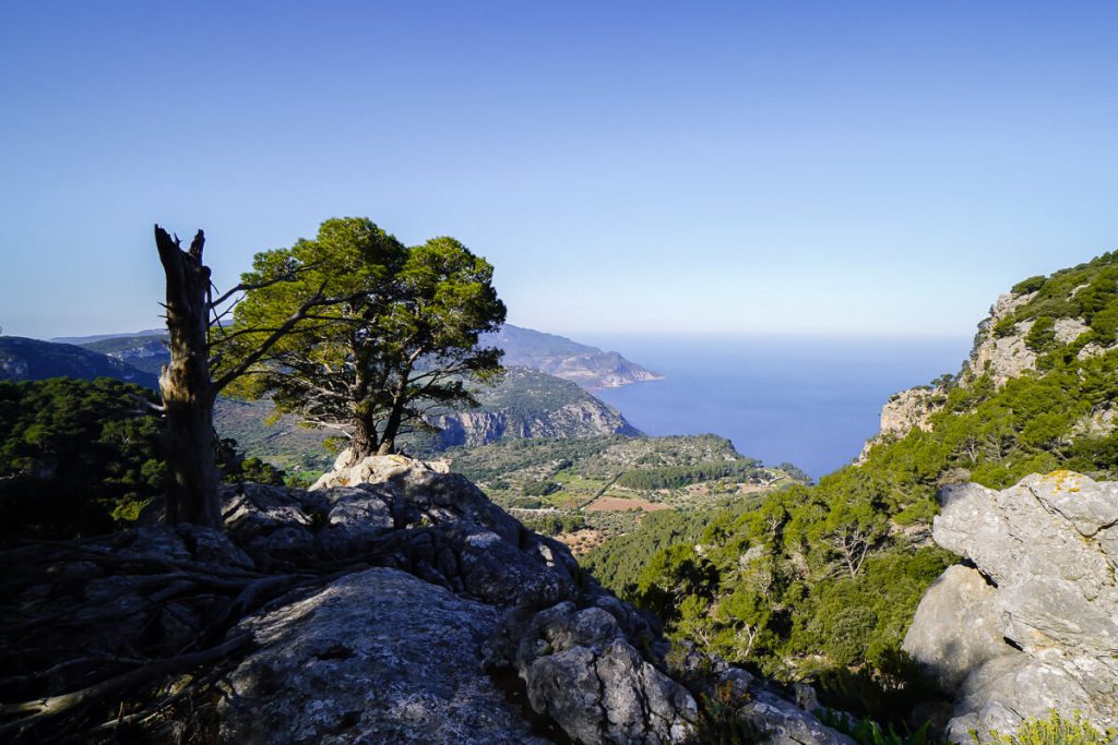 Ses Puntes Viewpoint, Valldemossa, Mallorca
