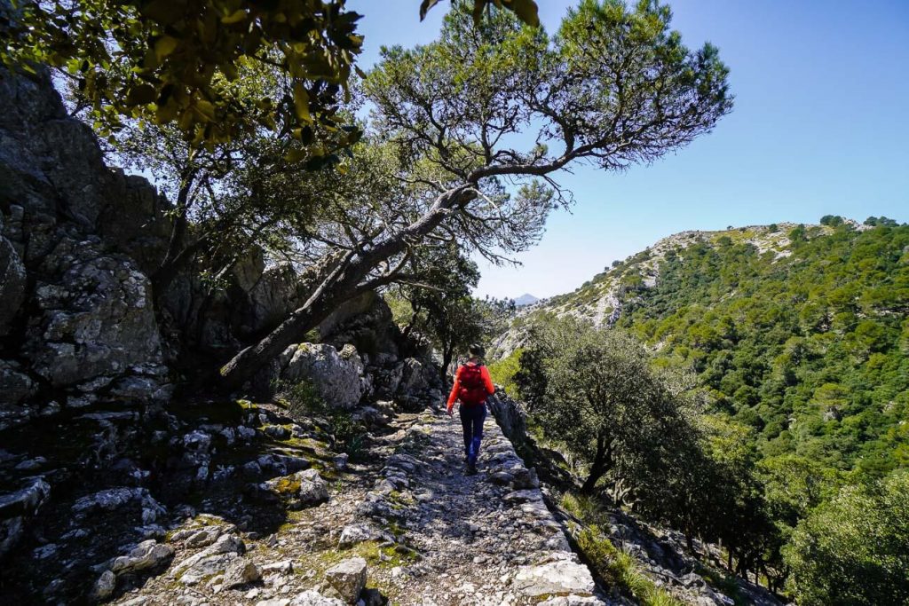 Archduke's Trail GR 221 to Valldemossa, Mallorca