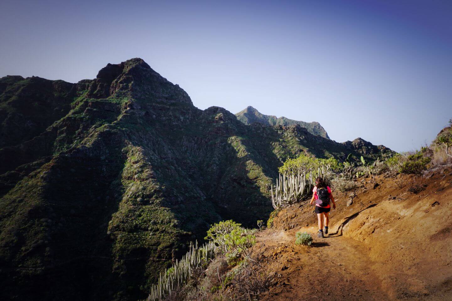 Punta del Hidalgo to Chinamada and Carboneras - Best Hikes in Tenerife Mountains