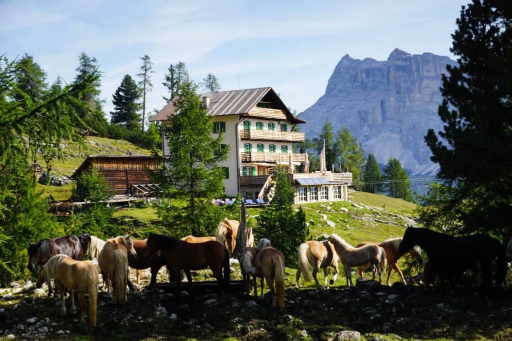 Rifugio Gardenacia Day Hike, La Villa to Colfosco, Italian Dolomites