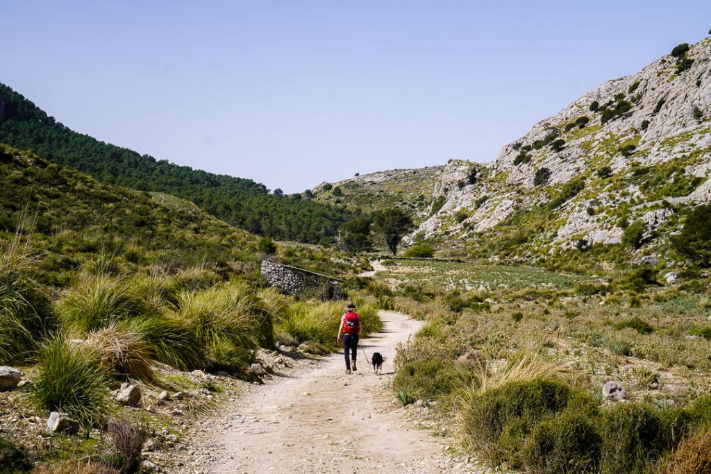 Cúber Reservoir to Coll de l’Ofre hike, Mallorca