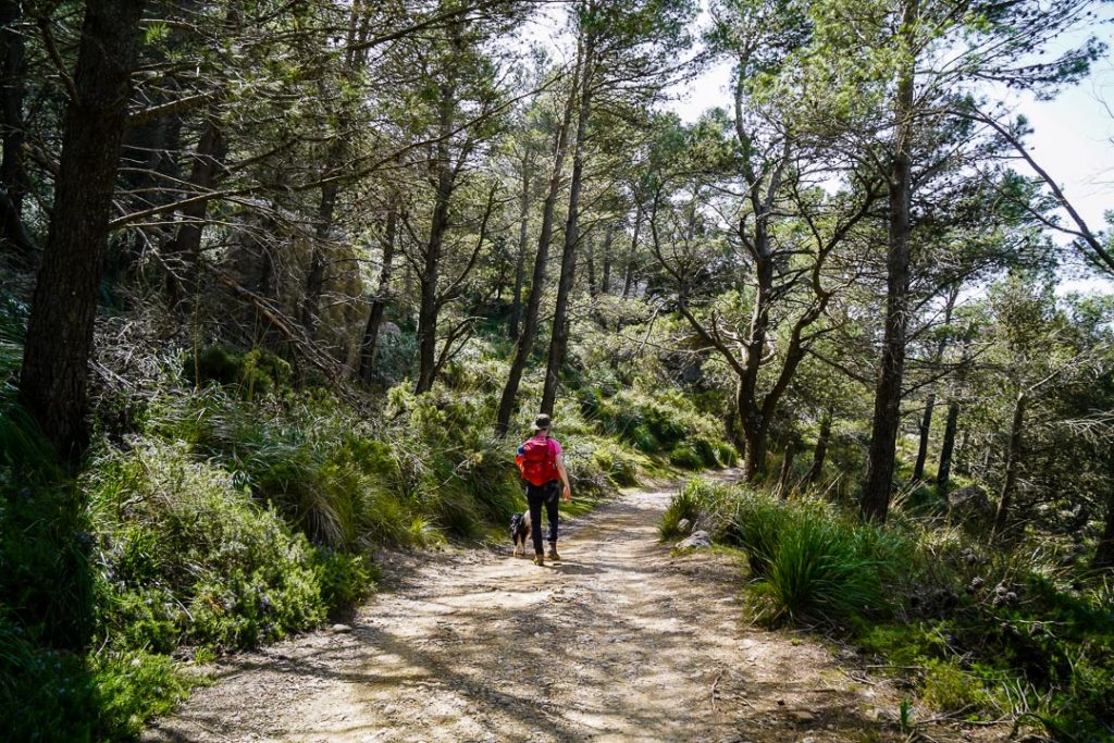 Coll de l’Ofre to Coll de Poma hike, Mallorca