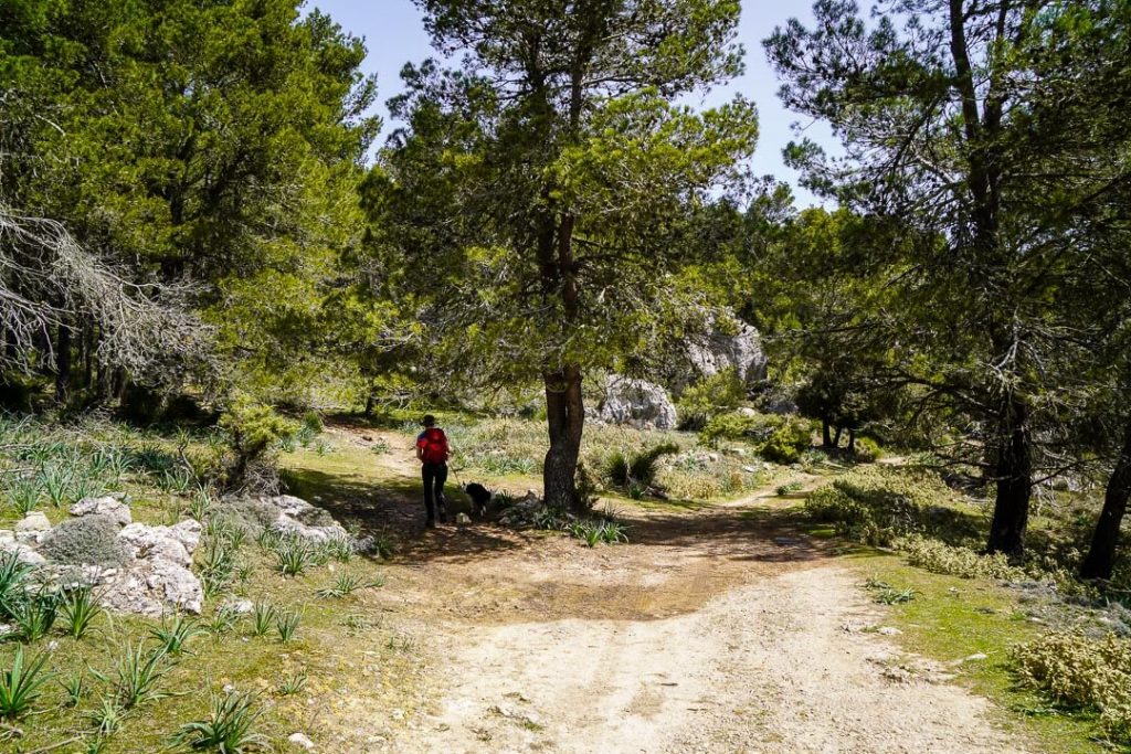 Coll de Poma to Puig de l’Ofre