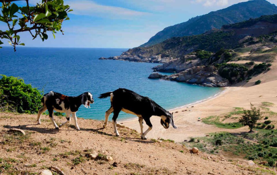 Best things to do in Ninh Thuan
