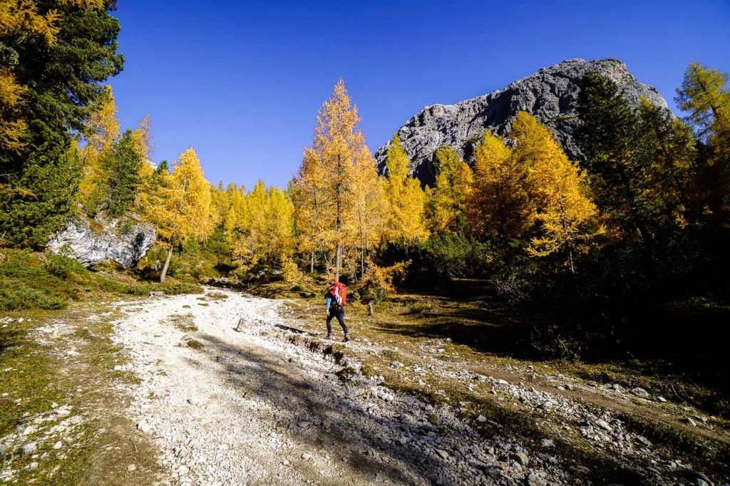 Trail 101, Lake Antorno to the Cadini di Misurina Viewpoint, Dolomites