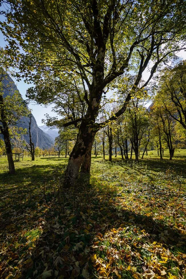 Grosser Ahornboden in Fall, Tyrol, Austria