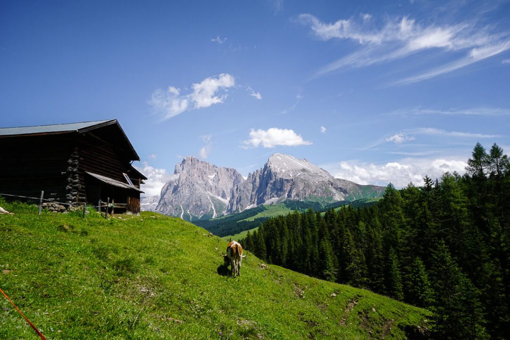 Hans and Paula Steger Path, Dolomites