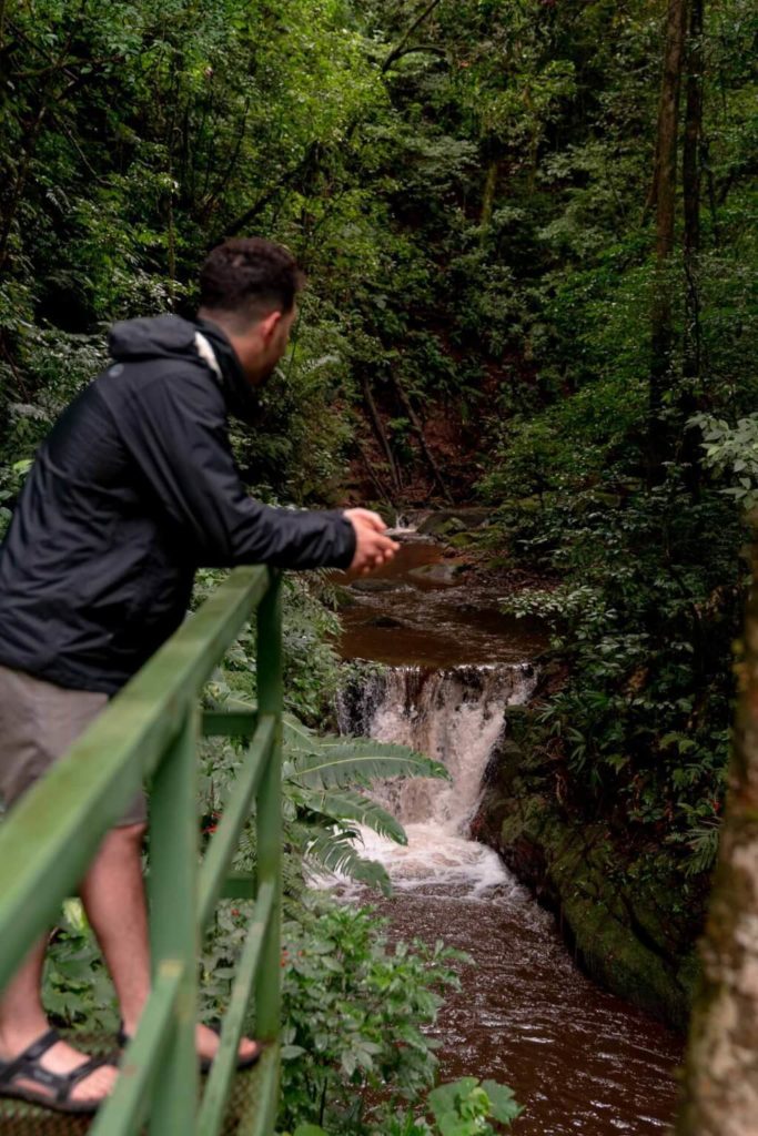 best things to do in Monteverde