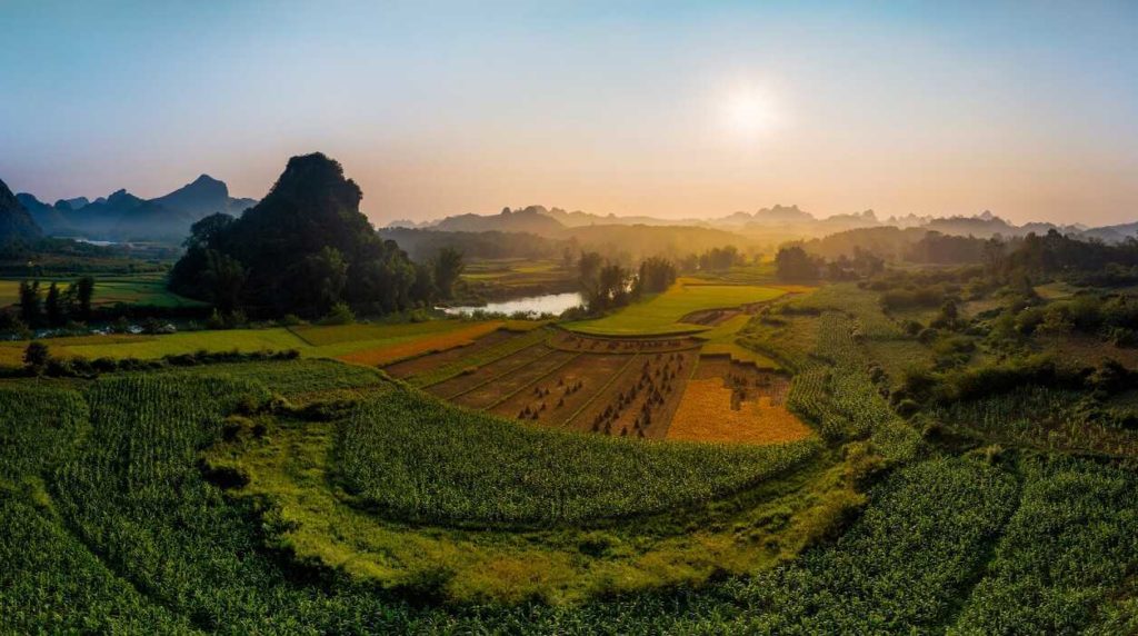 Rice fields on the Vietnam-China border