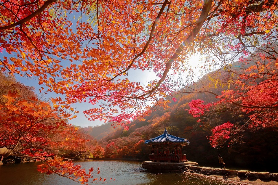 Gyeongju - best places to visit South Korea