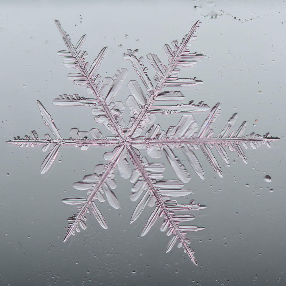 Alaska snowflakes