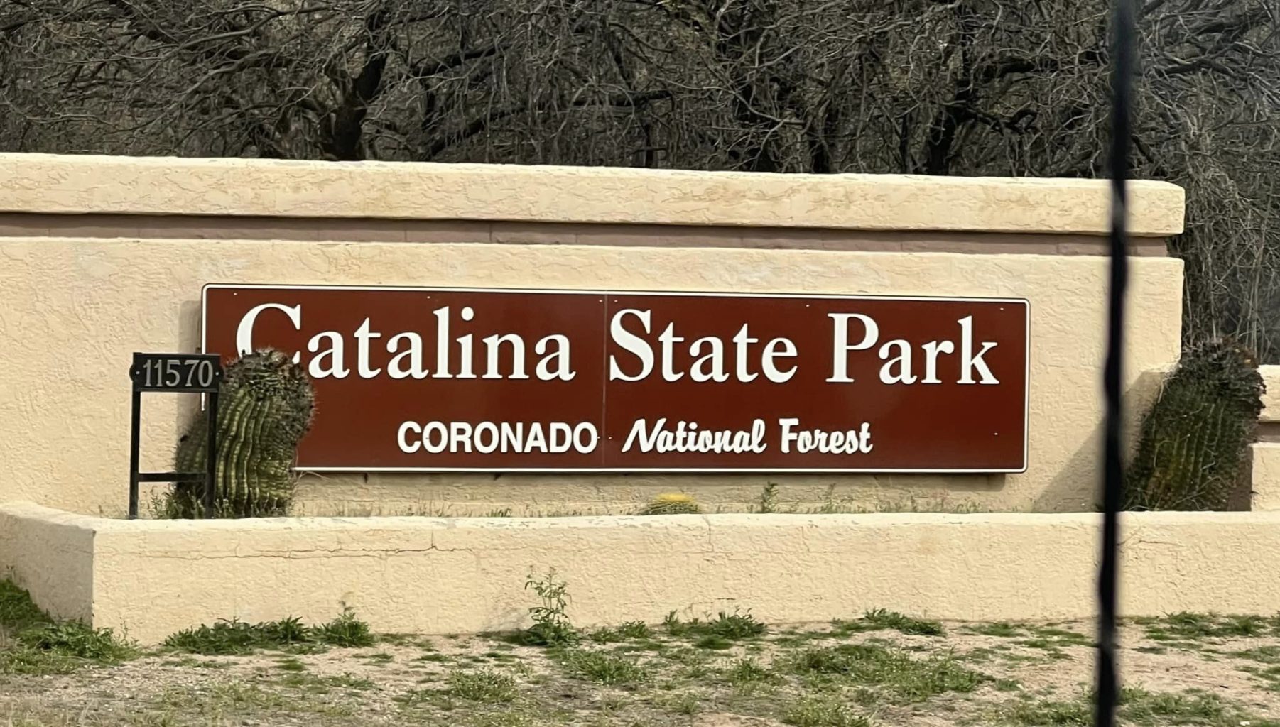 best campsites at Catalina State Park