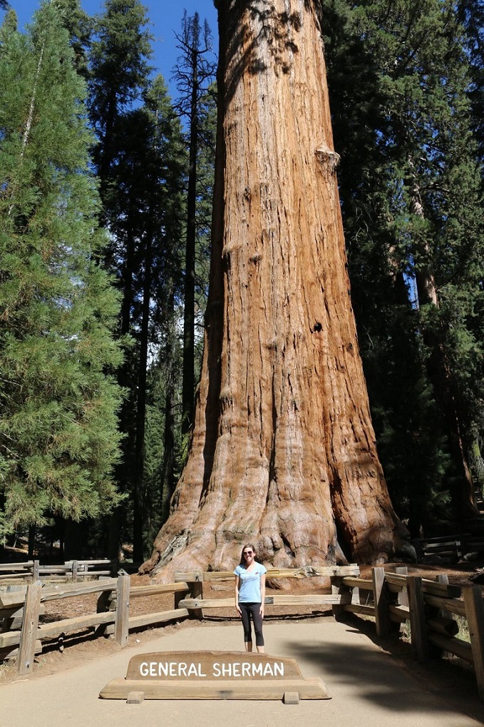 things to do in Sequoia National Park