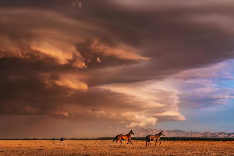wild horse and the hurricane season is coming in Arizona