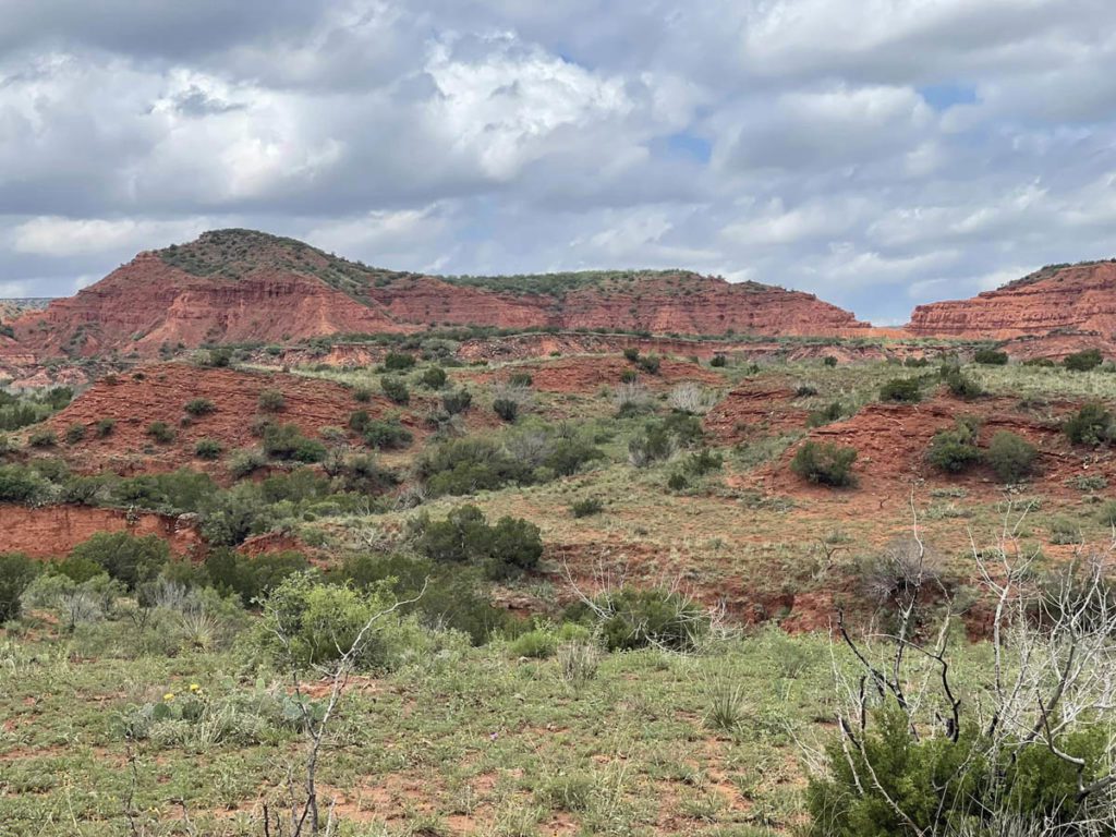Discovering Caprock Canyon State Park