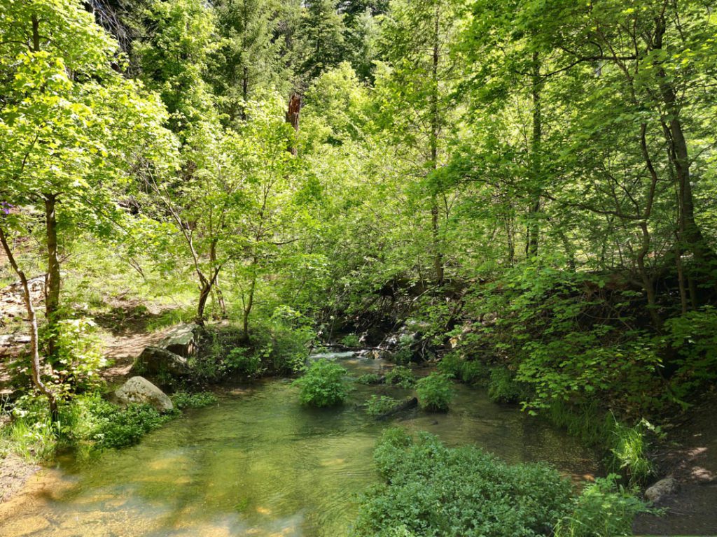 Hike in Horton Creek