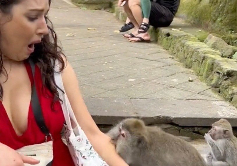 bitten by monkeys in Bali