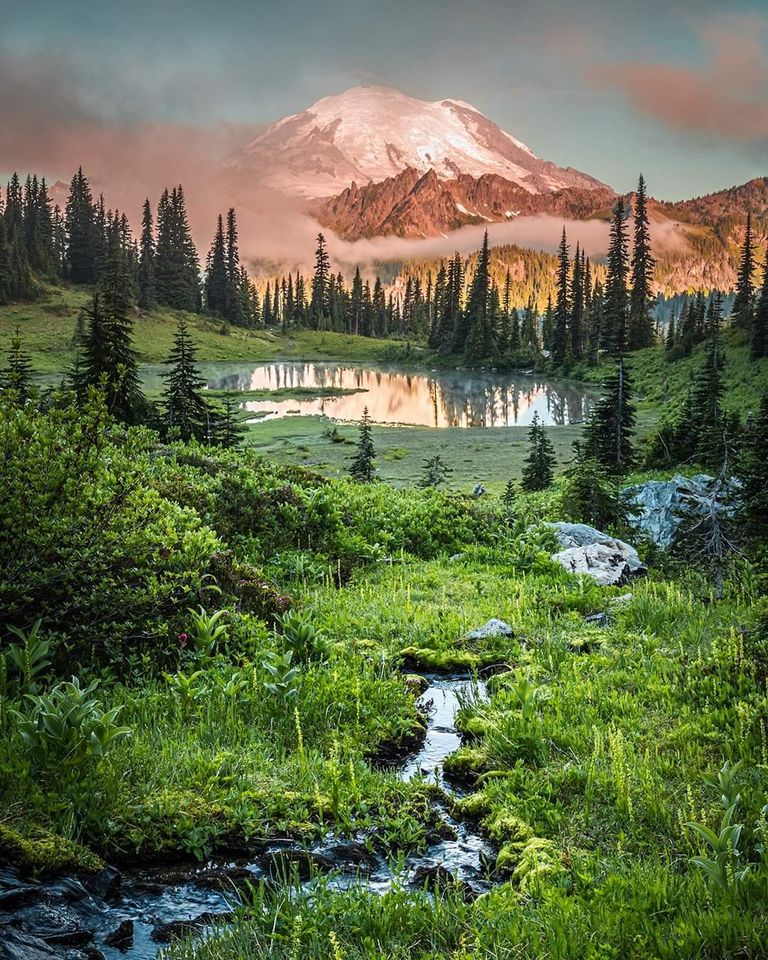 Mount Rainier National Park In Washington USA