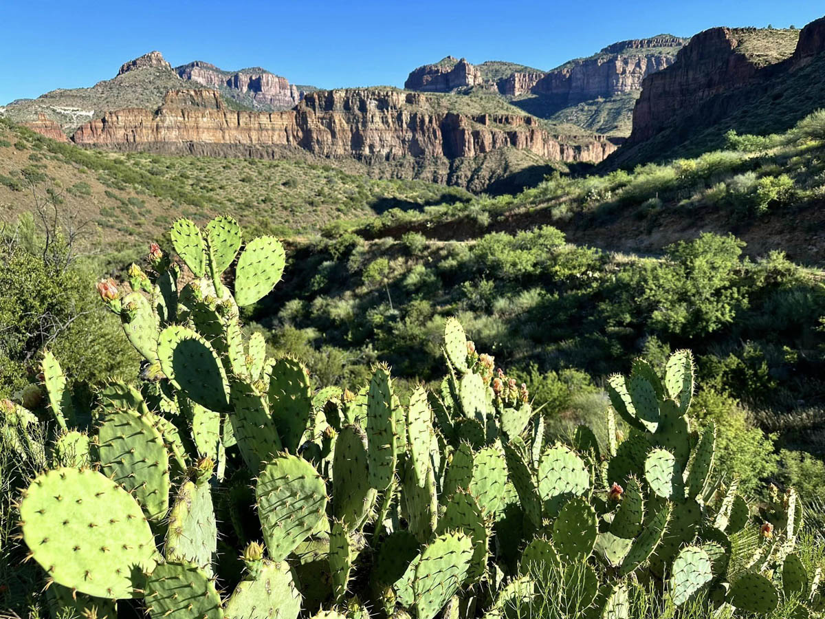 Unveiling the Splendor: Salt River Canyon’s Vibrant Palette – Travel 