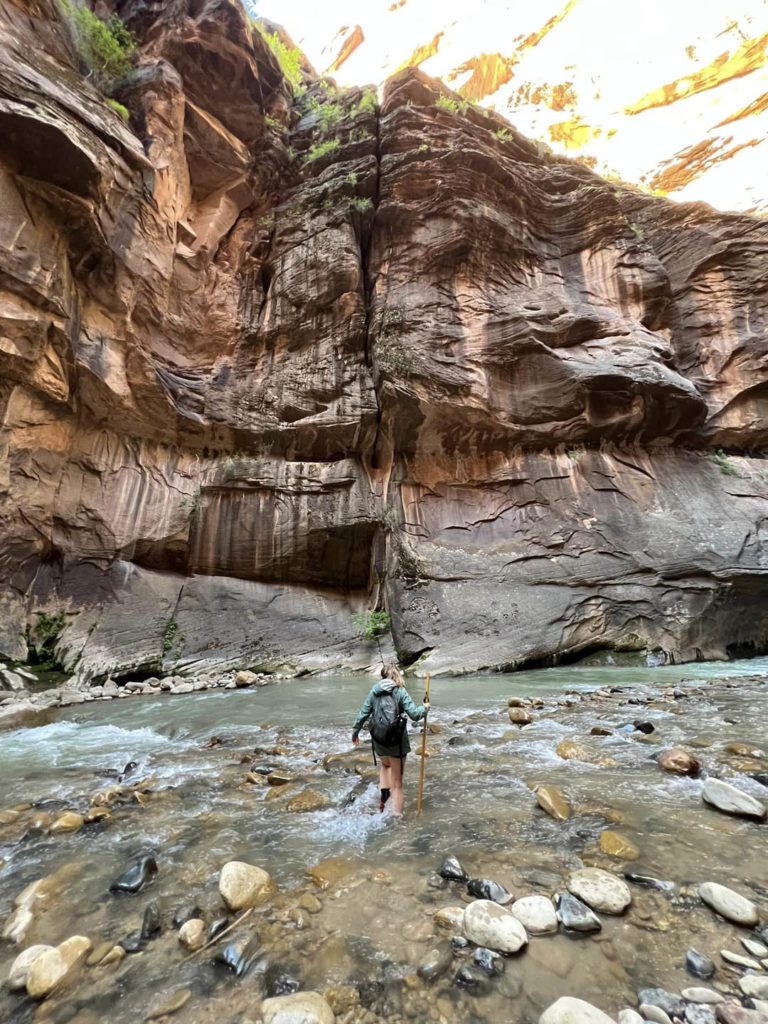 Zion's Narrows Hike