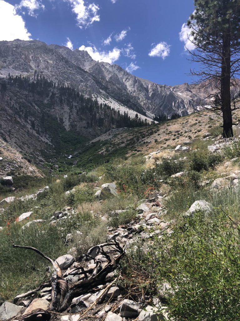 Eastern Sierra High Country