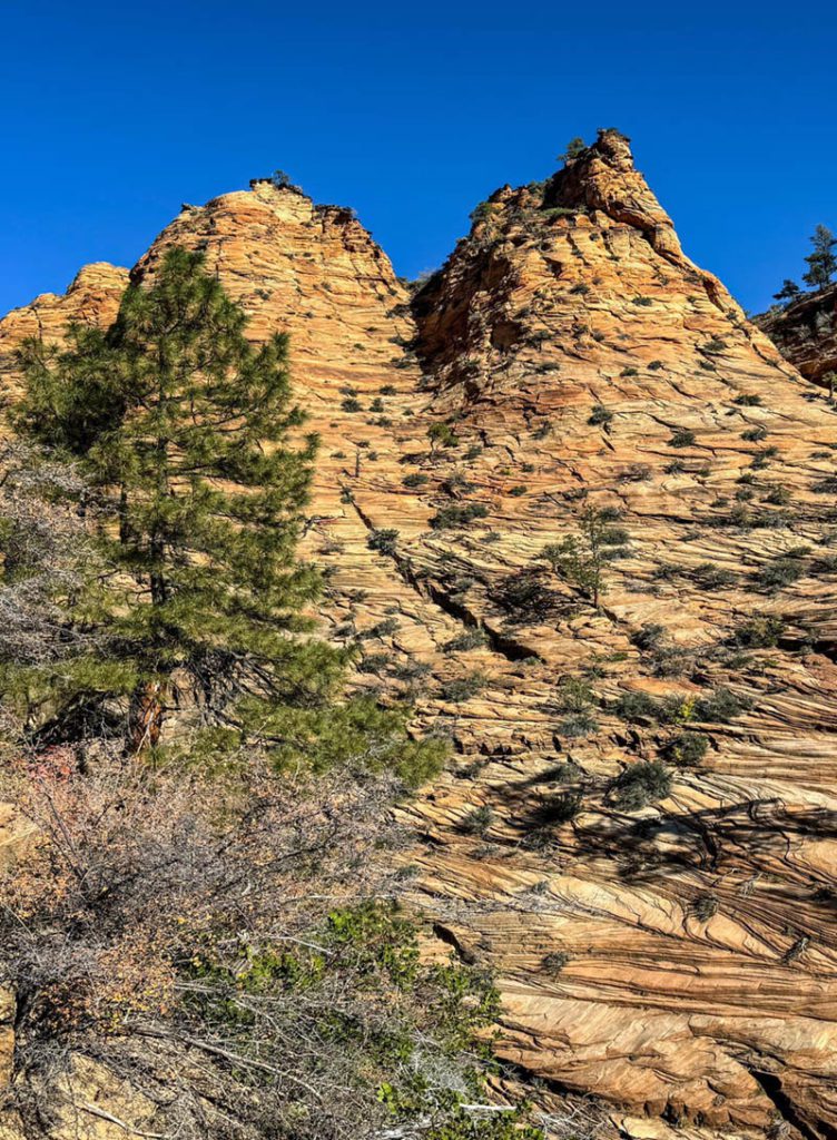 Water Canyon Trail Travel Guide